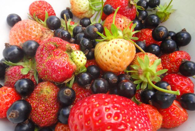 Fresh fruit from our gardens...